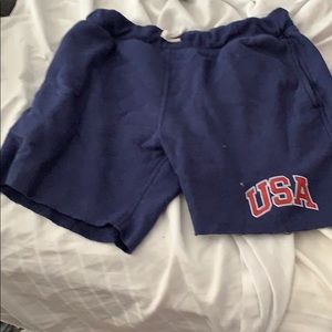 Men’s L Chubbies USA Sweat Shorts